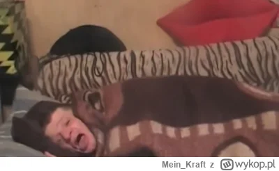 Mein_Kraft - PATRZCIE JAK LEŻY. PROSZE JAK LEŻY

#kononowicz #patostreamy