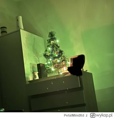 PetalMindXd - Proszę zobaczyć jaką piękną chujneczka na izbie ubrana