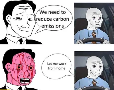 Phallusimpudicus - #korposwiat