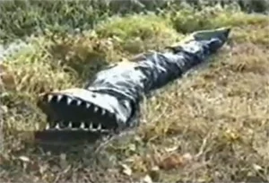 Formbi - deKO skrót lajta sumiska:

– sumisKO sugeruje, że jeśli Borneg ma problemy p...