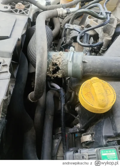 andrewpikachu - @andrewpikachu: