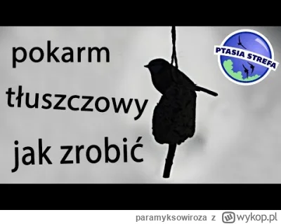 paramyksowiroza - @ziemniaknaexport: Metalowa klatka jest nieco bezpieczniejsza, mnie...