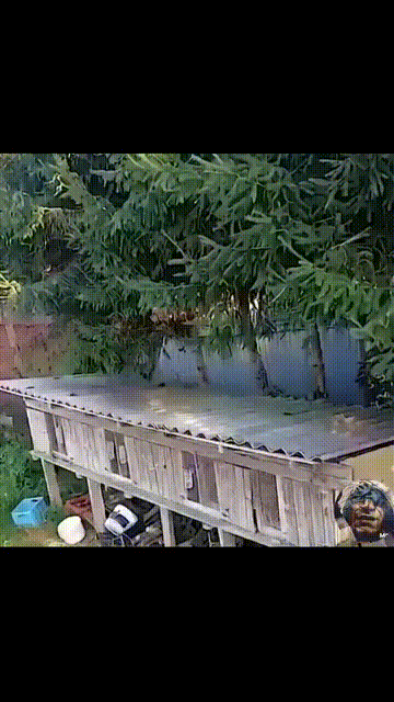 n1craM - Oto cała prawda na temat ruskich dronów xD
#ukraina #rosja