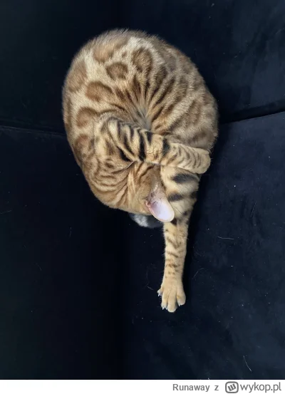 Runaway - @Lujdziarski: pozdro od siostry udającej udko od kurczaka