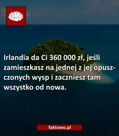 teoretyk_peklunku - Eh huop chyba się zdecyduje #przegryw