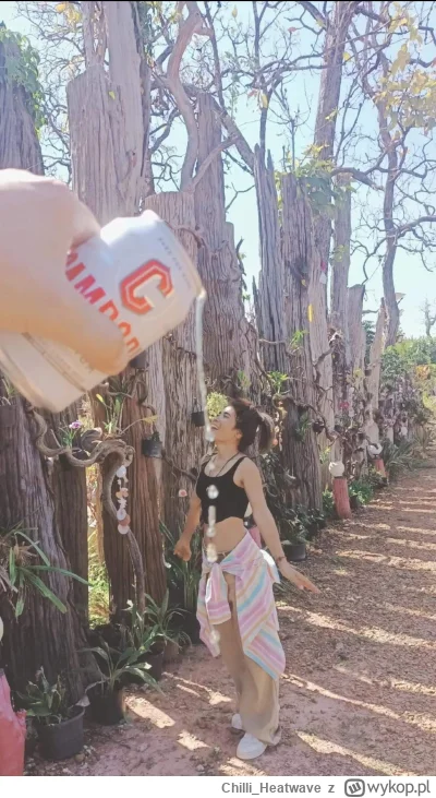 Chilli_Heatwave - #raportzpanstwasrodka #popaswpieprz