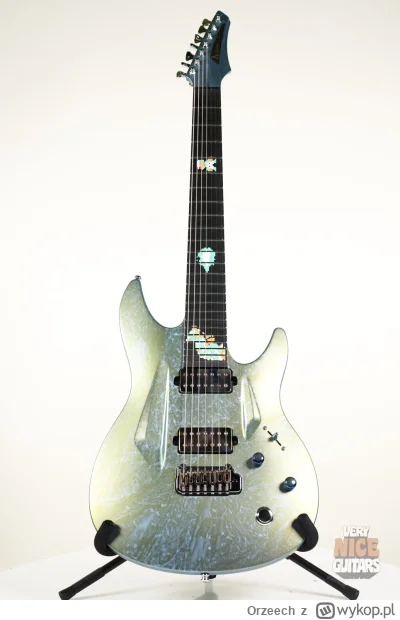 Orzeech - #orzechowegraty #gitaraelektryczna #gitara

Aristides 070 z bowserem i luig...