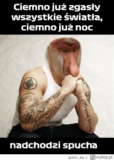 grzes_wu - #konkursnanajbardziejgownianymemznosaczem #rap #heheszki #spucha