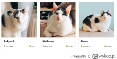 Frygus96 - #koty #heheszki #humorobrazkowy
Poza tym polecam przygarnąć jakiegoś kocia...