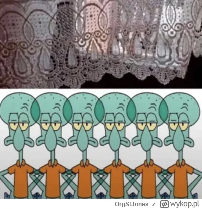 OrgStJones - Bolanren Dagouda i jego firanki #raportzpanstwasrodka