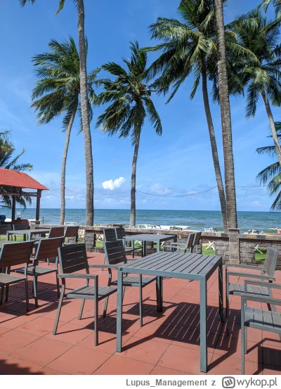 Lupus_Management - @vieniasn: "zajebiście"