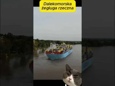 srgs - #krakow #wisla #rzeka