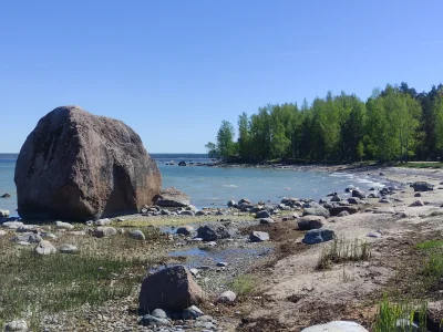 Krupier - Te kamienie na plażach mnie urzekły. (｡◕‿‿◕｡)