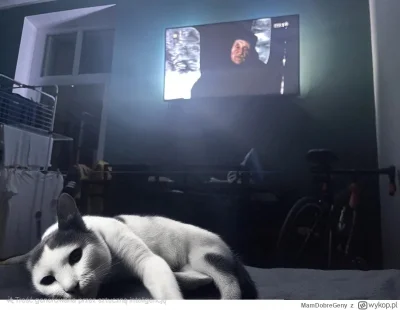 P.....h - @MamDobreGeny: