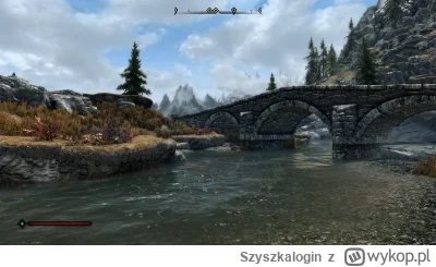 Szyszkalogin - #skyrim #gry