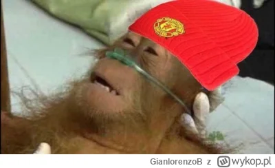 GianlorenzoB - Na tej ziemi pod tym niebem życie nasze toczy się 
#united #mecz