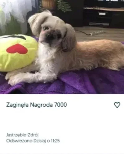 trollingisanart - Widział ktoś? ( ͡° ͜ʖ ͡°)

#fredikamionka #dolarodstronyprzepompown...