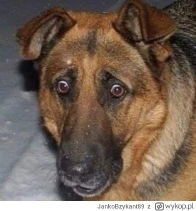 JankoBzykant89 - @dawiddrifter: