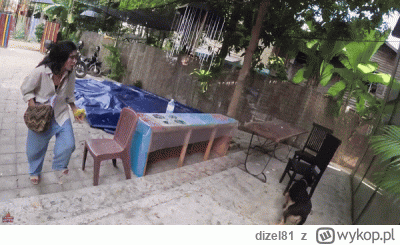 dizel81 - Phana goni psa.
Gapa nie długo chyba tak samo skończy:)
#raportzpanstwasrod...