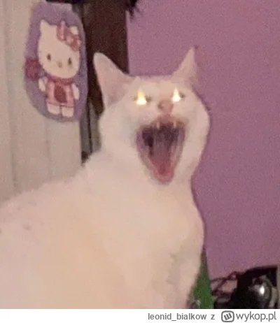 leonid_bialkow - AAAAAAAAAAAAAAAAAAAAAAAAAAAAAAAAAAAAAAAAAAAA