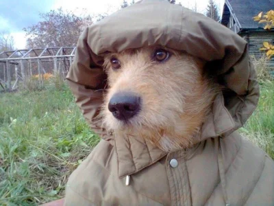 ada_lovelace - #wiatr