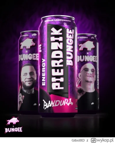 GibolXD - #famemma Ale colabo :O WKDZIK + BUNGEE + PIERDAS ( ͡° ͜ʖ ͡°)