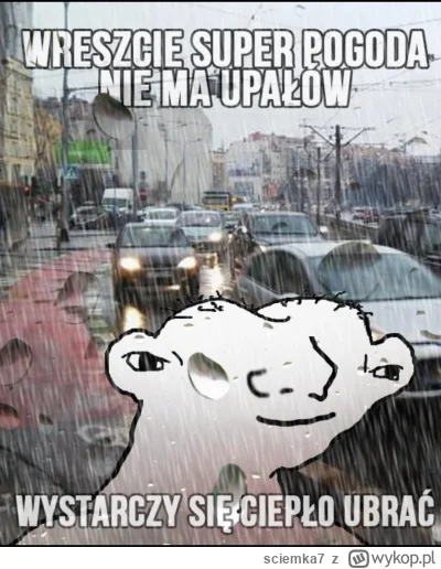 sciemka7 - @b7kj: ( ͡° ͜ʖ ͡°)