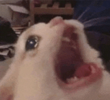 psiversum - PiS zrobiło wrzutkę do ustawy. Nawrocki zaproponował ograniczenie 800+ dl...