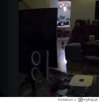 Knoblauch - #raportzpanstwasrodka 
Czyli cygan zamienił lapka na stacjonarkę