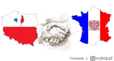 Tremade - USA zaliczyło upadek godnościowy, czas wrócić do sprawdzonych sojuszników. ...