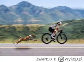 Zwierz33 - 344 864 + 55 = 344 919

Huopa dawno nie było, a pedauował trochę. A łoni n...