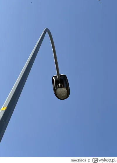 mechaos - Czy może mi ktoś to wytłumaczyć?

 Czy ten ptak się powiesił? 

#pytanie XD