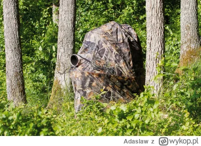 Adaslaw - @sonko12: 
Pozostaje zasadzić się w tym miejscu i poczekać aż tam się zjawi...