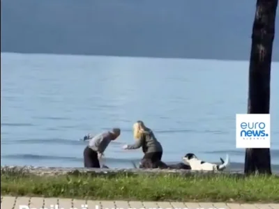 duzy_gracz - Miejse akcji: Albania

Dziadek broni się przed sforą zdziczałych kundli....