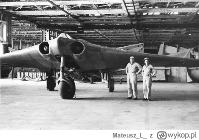 MateuszL - Prototyp Horten Ho 229, niemiecki prototyp myśliwca-bombowca pierwotnie za...