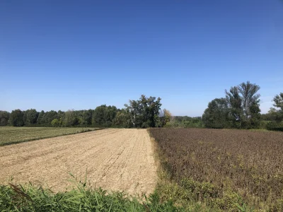 ChlopoRobotnik2137 - Z atrakcji to polowanie obok . Aż strach tam jezdzic . W sumie j...