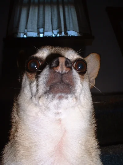 dywergent - jutro musze wstac przed 7