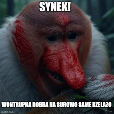 panDario - #konkursnanajbardziejgownianymemznosaczem #twojstary #malpapolak #memy