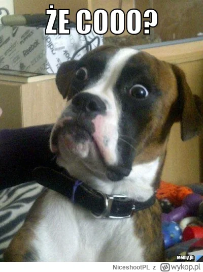 NiceshootPL - #kanalzero cooo????