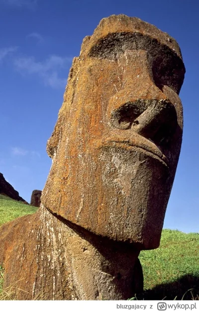 b.....y - @PatrykEm1990: