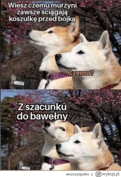 wezsepigulke - @Fran99