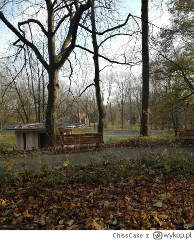 ChissCake - Widok w drugą stronę; skała z kamykiem jest za kawiarnią Mech (bardzo dob...