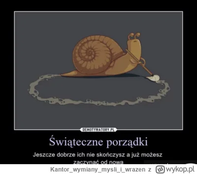 Kantorwymianymysliiwrazen - I tak do #!$%@?.(╯°□°）╯︵ ┻━┻
#święta #sprzątanie #takapra...