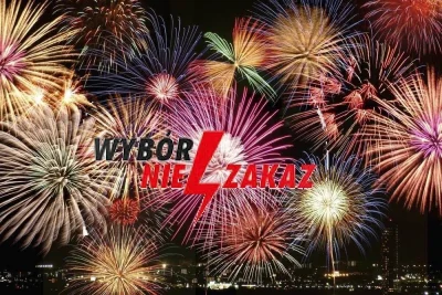 J-23cm - Ty nie strzelasz w Sylwestra, żeby nie straszyć psów. 

Ja nie strzelam, bo ...