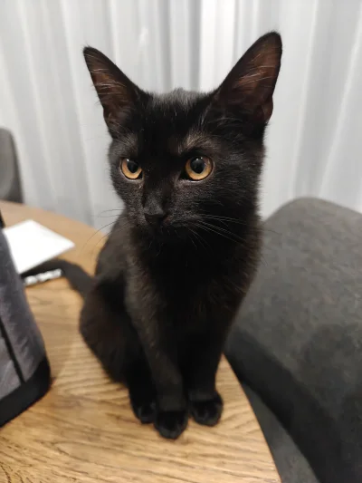 Pormen - @KrzyzowiecAlfred No hej