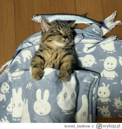 leonidbialkow - @CorvusFrugilagus: cze dla ciebie latajoncy