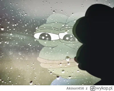 Akinori456 - Płakać mi się chce jak pomyślę sobie jakim nadal jestem debilem...
(╯︵╰,...