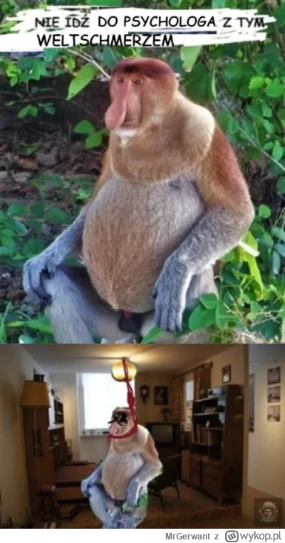 MrGerwant - #konkursnanajbardziejgownianymemznosaczem #sztukadlasprawiedliwych