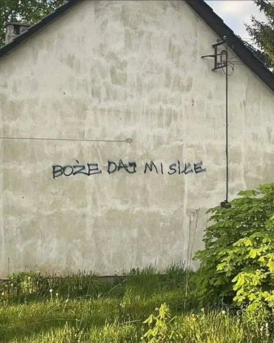 CocoaGrower - #przegryw