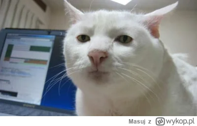 M.....j - @xfin: ja p------e i zaraz kolejna nitka dwustu komentarzy w których miszcz...